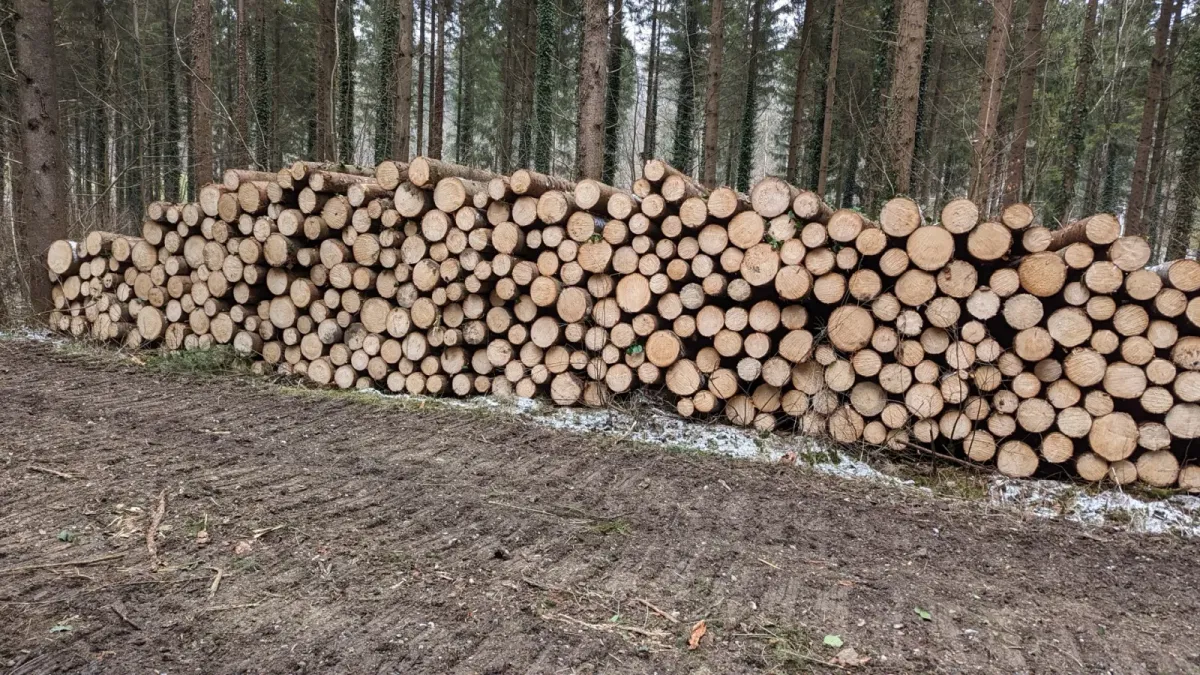 John Deere 810E Rückewagen im Wald im Einsatz